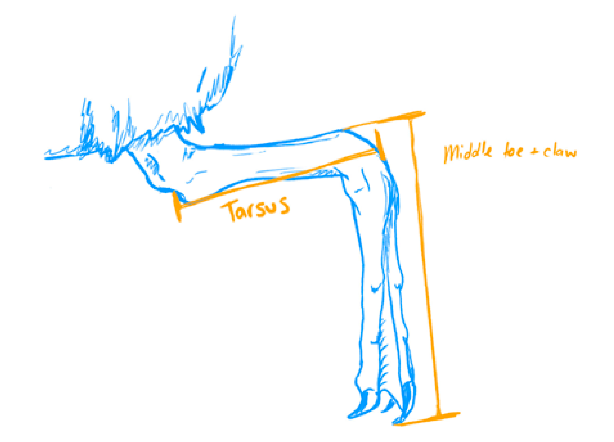 figure 111